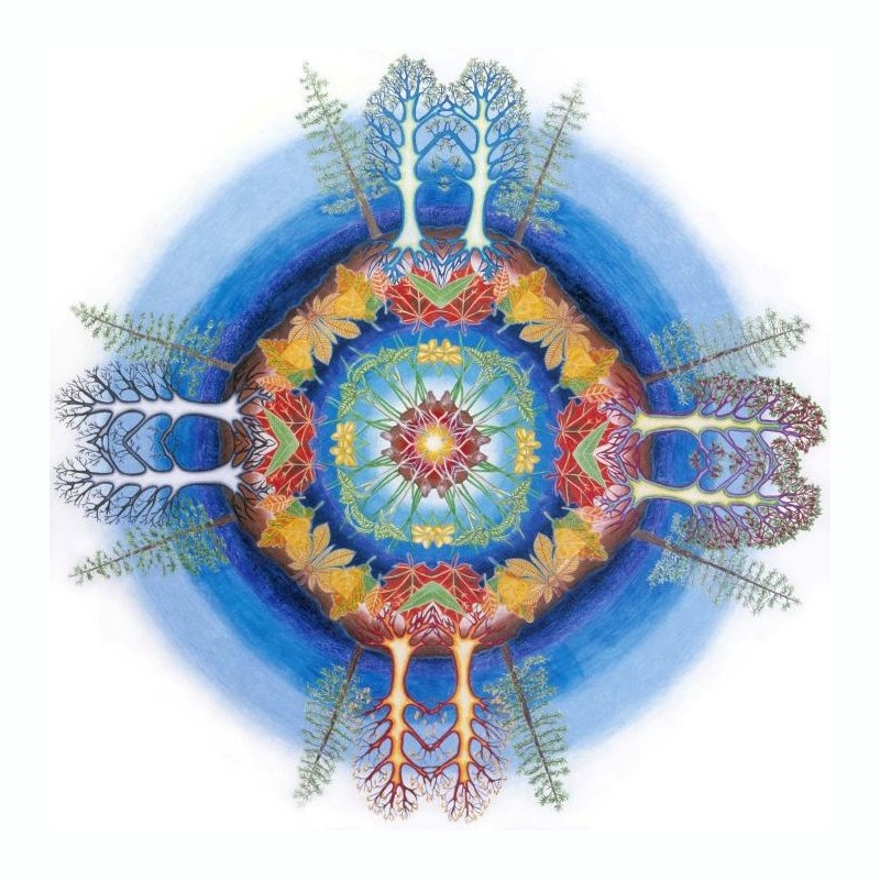 by Aaron Brader (CotM Founder)
