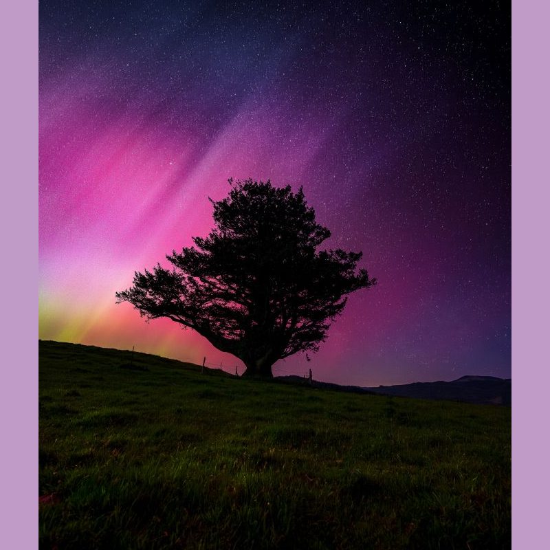 "Wisdom" by Matte Hanna